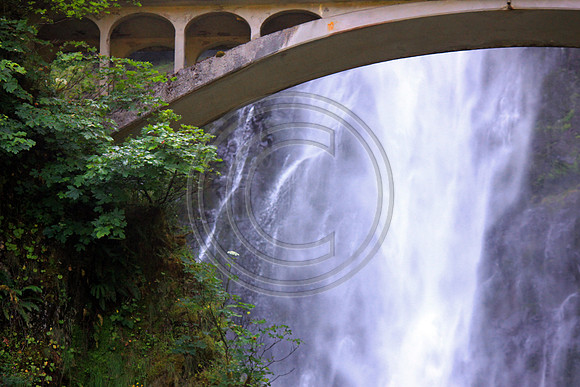 IMG_6540